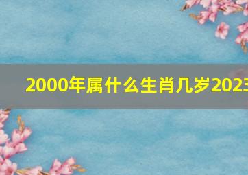 2000年属什么生肖几岁2023