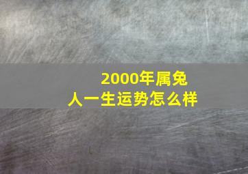 2000年属兔人一生运势怎么样