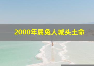 2000年属兔人城头土命