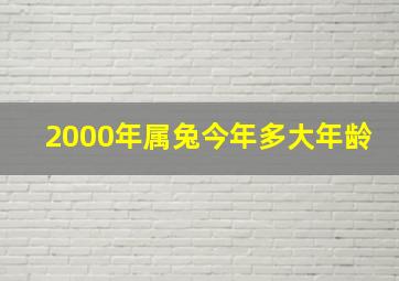 2000年属兔今年多大年龄