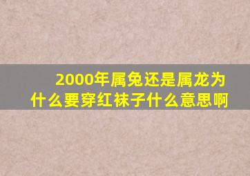 2000年属兔还是属龙为什么要穿红袜子什么意思啊