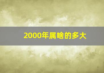 2000年属啥的多大