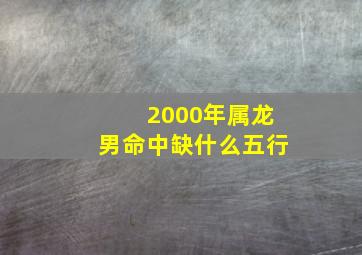 2000年属龙男命中缺什么五行