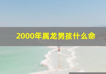 2000年属龙男孩什么命