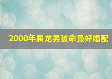 2000年属龙男孩命最好婚配