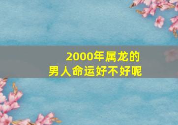 2000年属龙的男人命运好不好呢