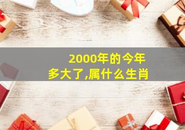 2000年的今年多大了,属什么生肖