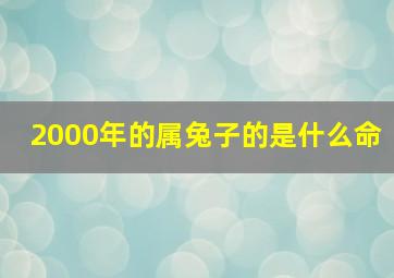 2000年的属兔子的是什么命