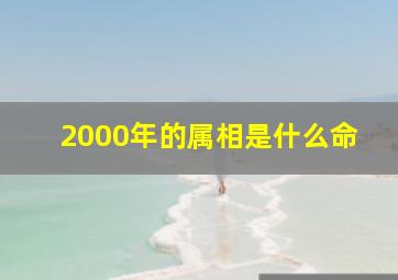 2000年的属相是什么命