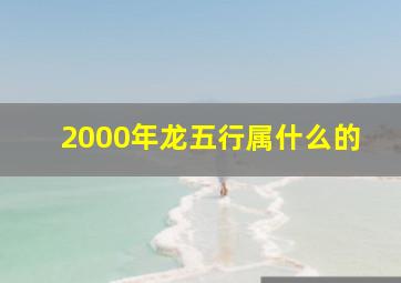 2000年龙五行属什么的