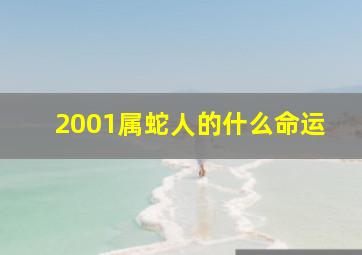 2001属蛇人的什么命运