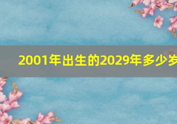 2001年出生的2029年多少岁