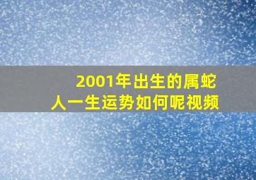 2001年出生的属蛇人一生运势如何呢视频