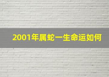 2001年属蛇一生命运如何