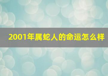 2001年属蛇人的命运怎么样