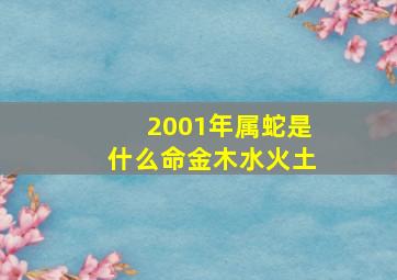 2001年属蛇是什么命金木水火土