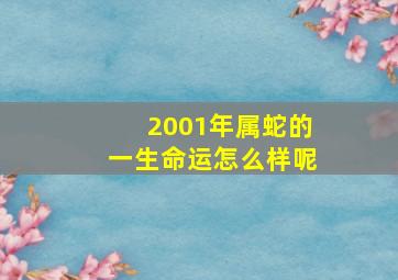 2001年属蛇的一生命运怎么样呢