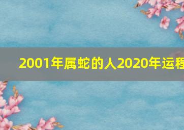 2001年属蛇的人2020年运程