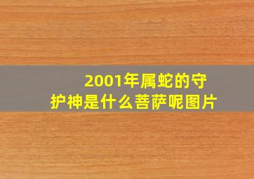 2001年属蛇的守护神是什么菩萨呢图片