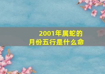 2001年属蛇的月份五行是什么命