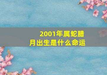 2001年属蛇腊月出生是什么命运