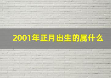 2001年正月出生的属什么