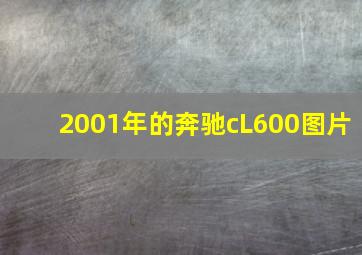 2001年的奔驰cL600图片