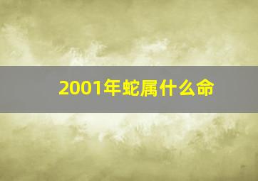 2001年蛇属什么命