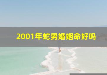 2001年蛇男婚姻命好吗