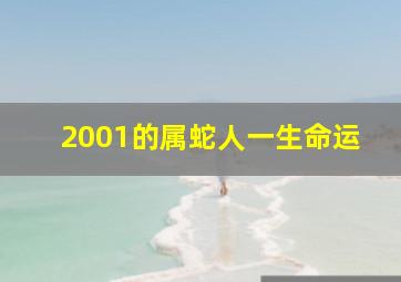 2001的属蛇人一生命运