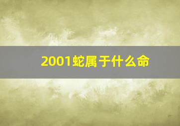 2001蛇属于什么命