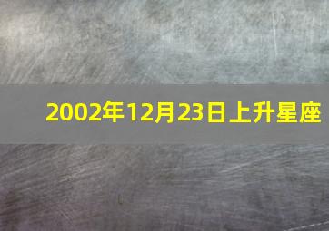 2002年12月23日上升星座