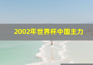 2002年世界杯中国主力