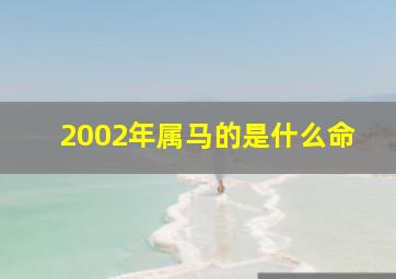 2002年属马的是什么命