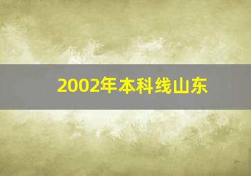 2002年本科线山东