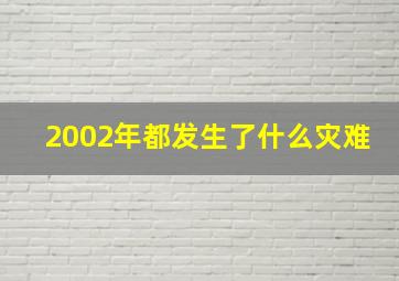 2002年都发生了什么灾难