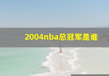 2004nba总冠军是谁