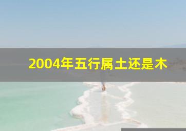 2004年五行属土还是木