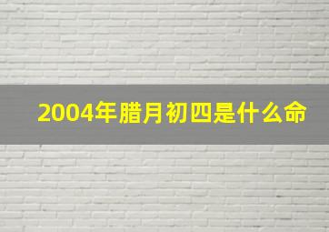 2004年腊月初四是什么命