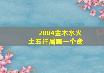 2004金木水火土五行属哪一个命