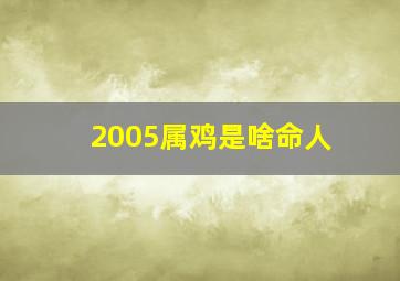 2005属鸡是啥命人