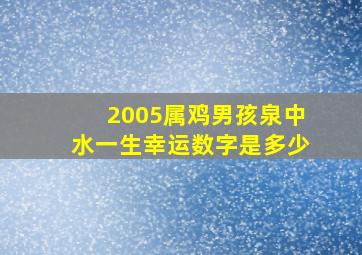 2005属鸡男孩泉中水一生幸运数字是多少