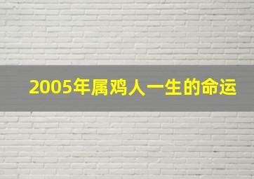 2005年属鸡人一生的命运