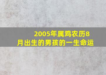 2005年属鸡农历8月出生的男孩的一生命运