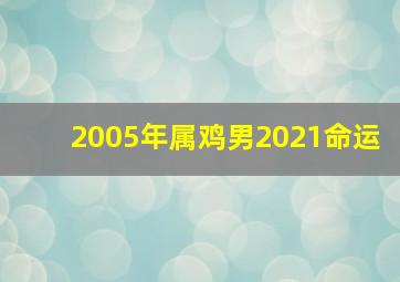 2005年属鸡男2021命运