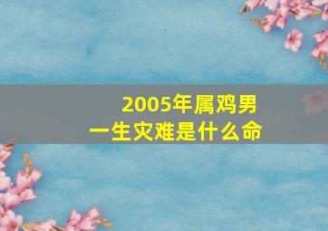 2005年属鸡男一生灾难是什么命