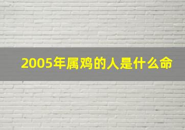 2005年属鸡的人是什么命