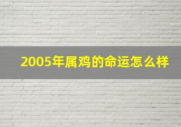 2005年属鸡的命运怎么样