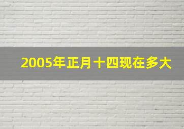 2005年正月十四现在多大