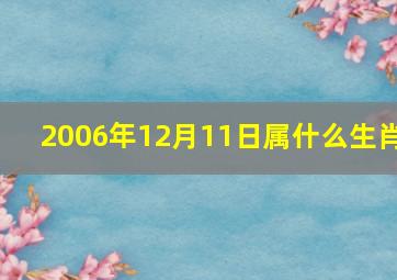 2006年12月11日属什么生肖